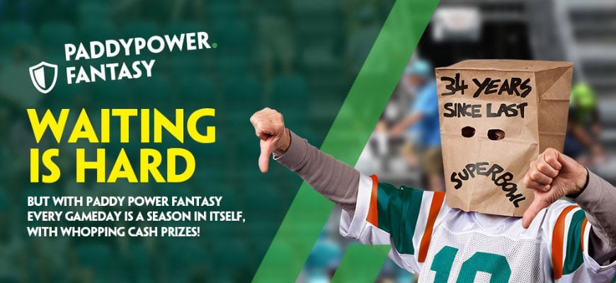 Paddy Power daily fantasy betting banner