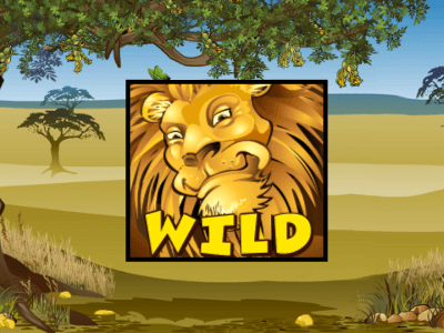Wild Lion Image