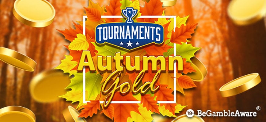 Everyone's a winner in BGO's Autumn Gold promotion - Banner